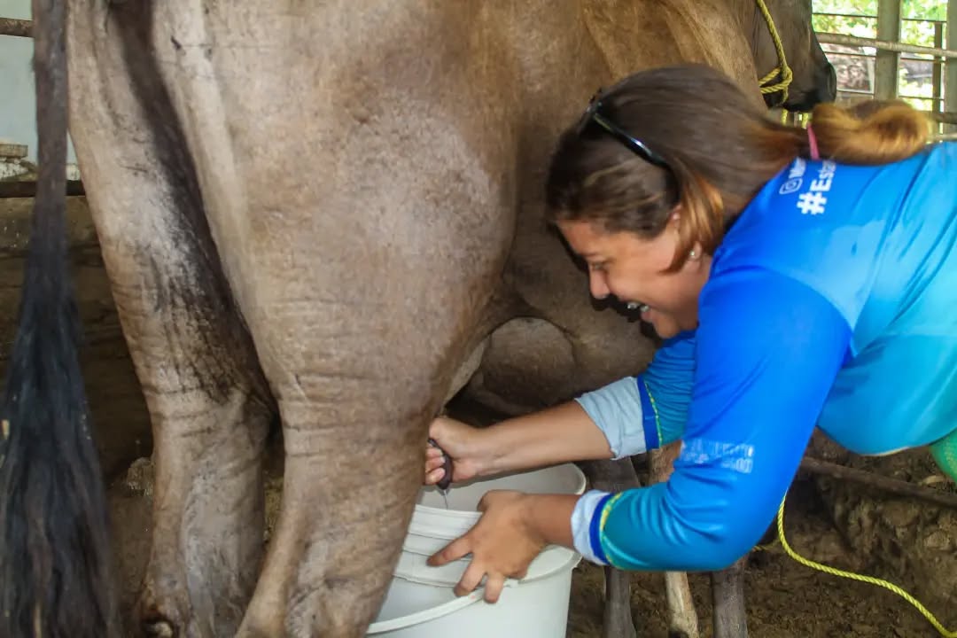 Experiencia de ordeño